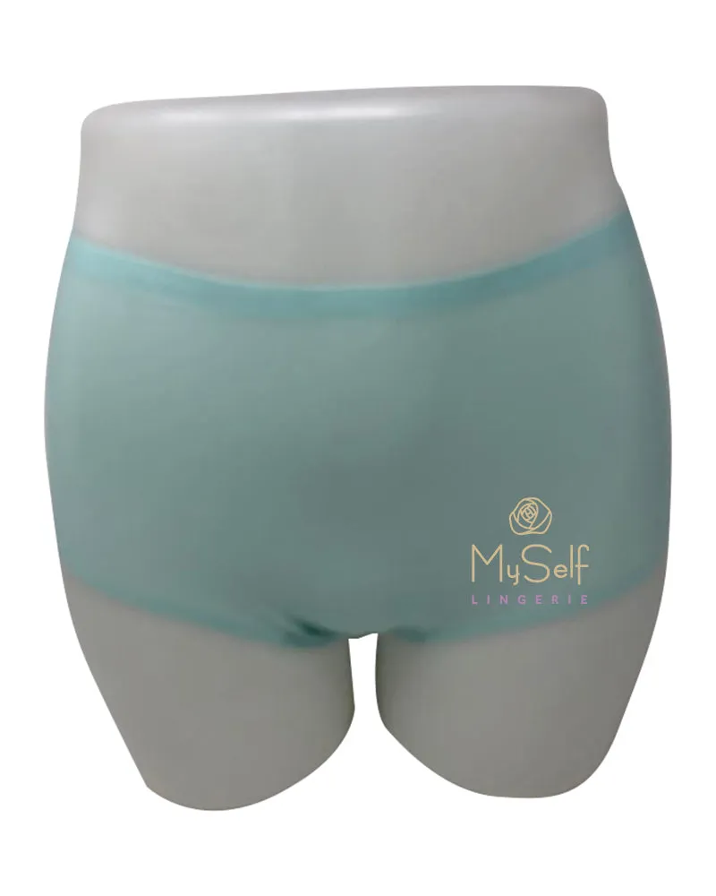 2647 Seamless One Size Fits All Full Brief