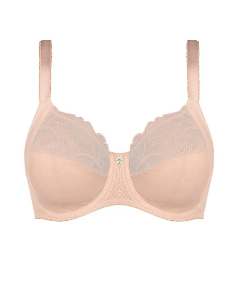 3021 Memoir Lace Underwire Bra