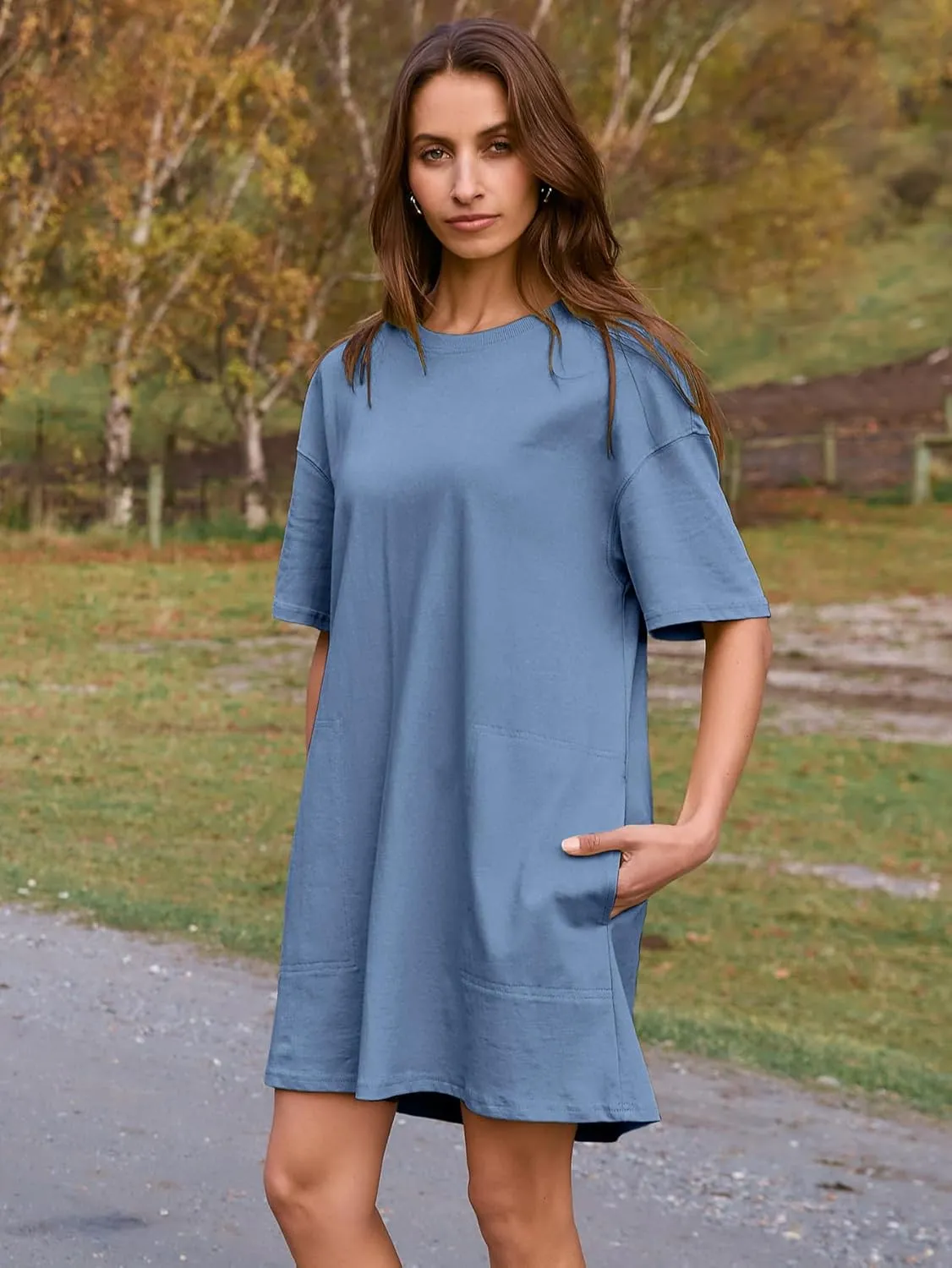 BerryGo Women's Casual Summer Cotton T Shirt Dress Crew Neck Loose Beach Mini Tshirt Tunic Dresses with Pockets